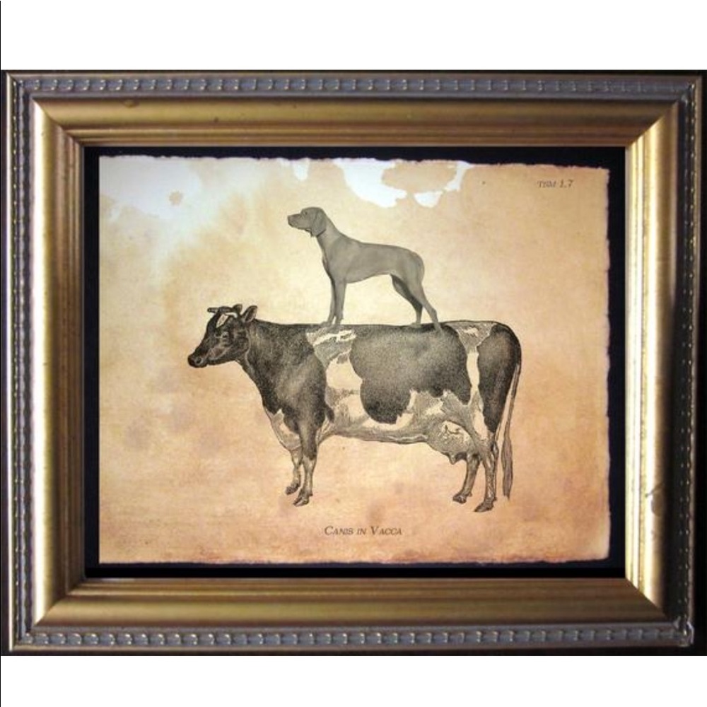 Vizsla Dog Riding Cow Wall Art Print Tea Stained